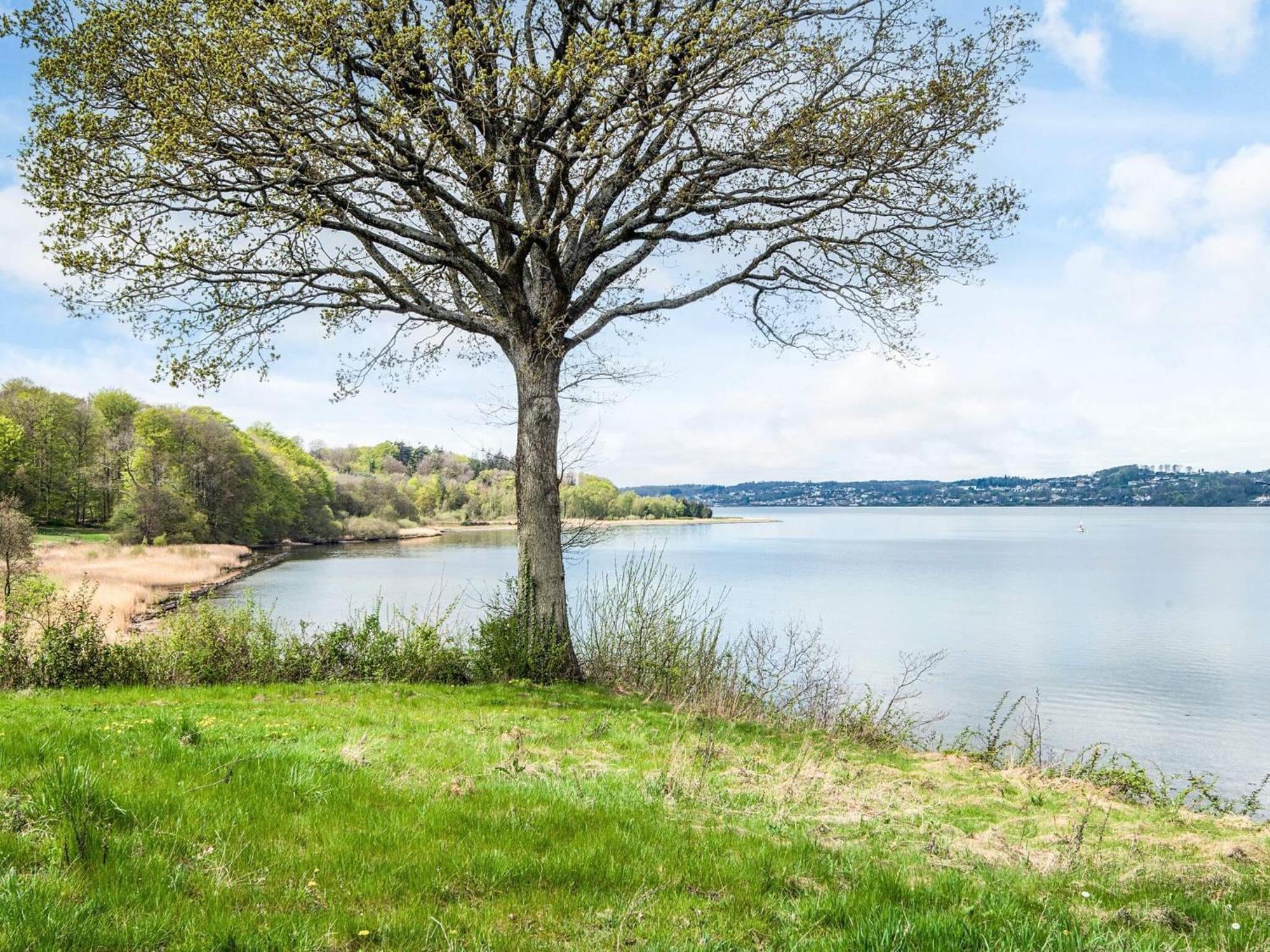 4 Person Holiday Home In B Rkop Børkop Zewnętrze zdjęcie